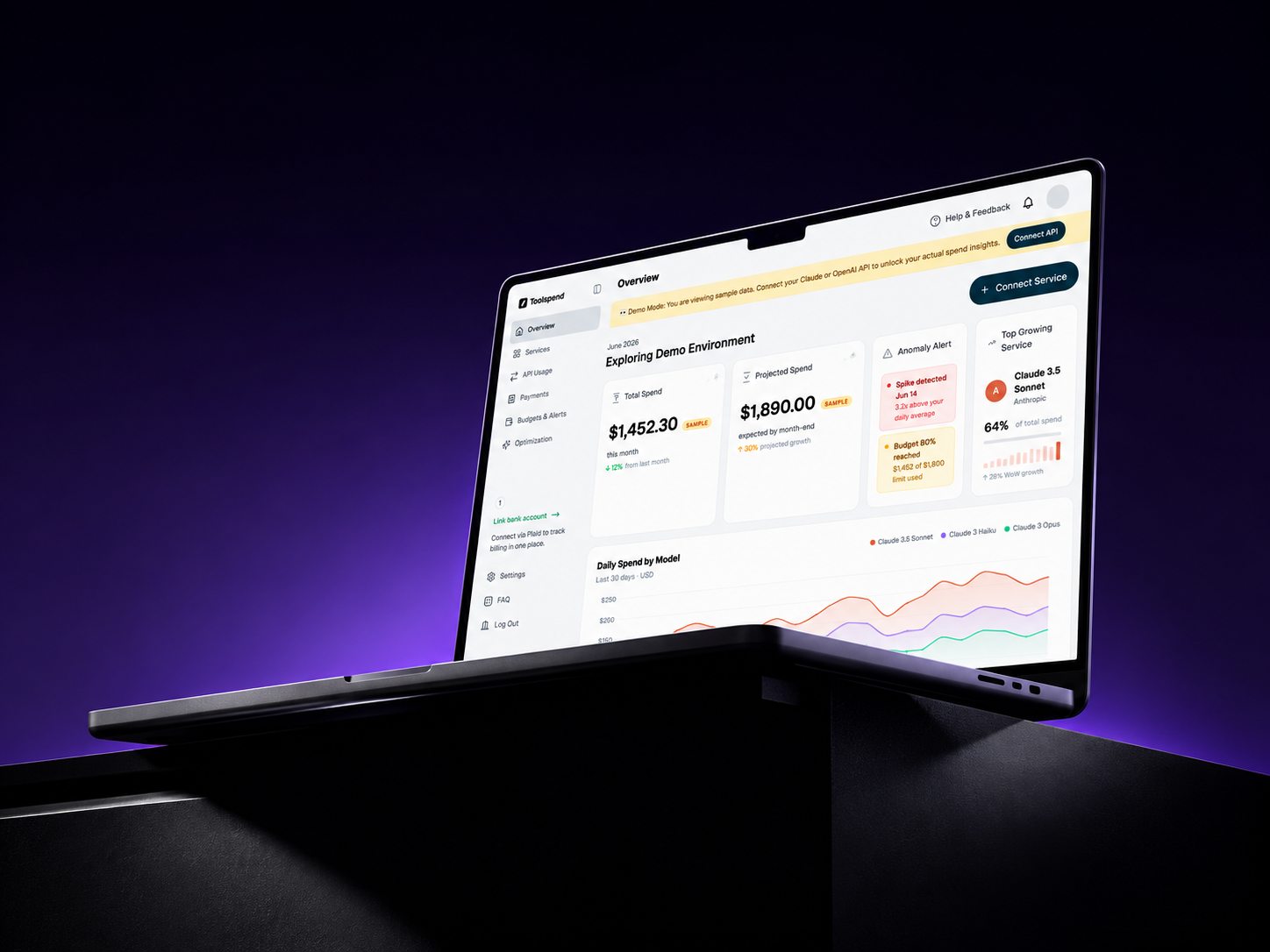 Toolspend spend dashboard on a laptop